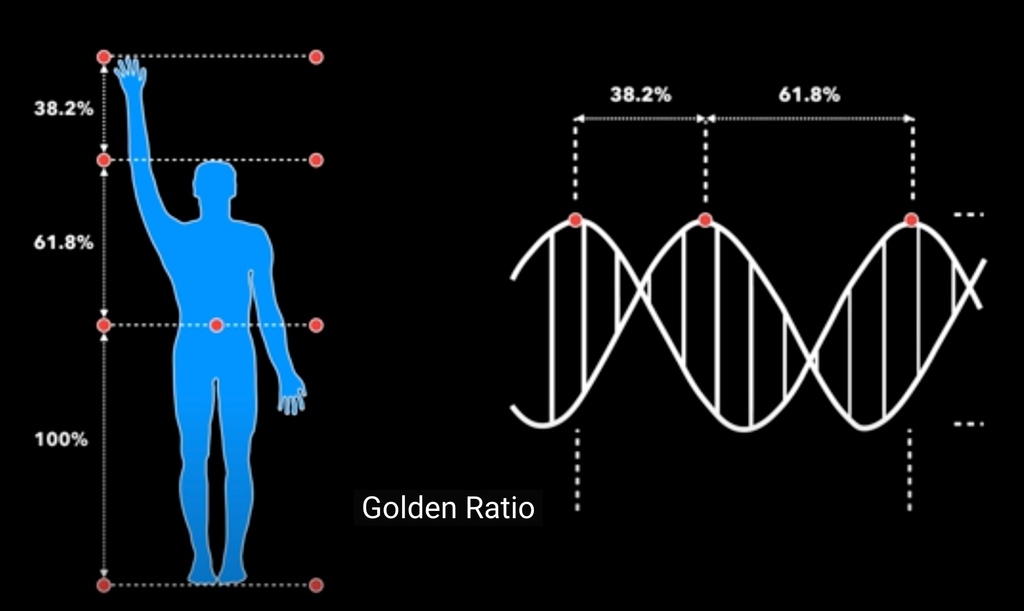 Human DNA and Golden Ratio
