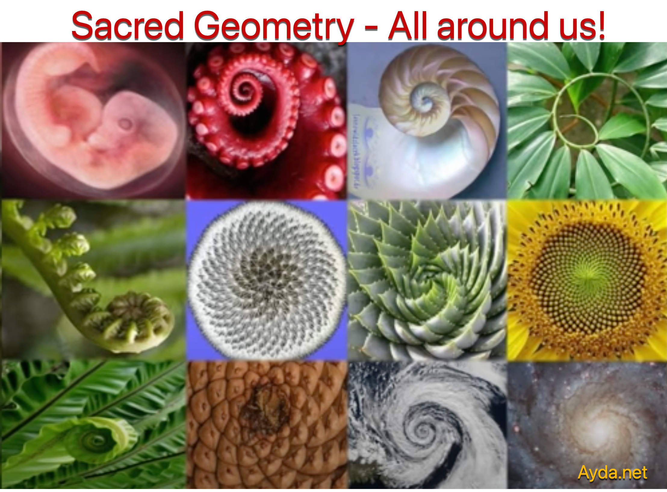Sacred Geometry All Around Us